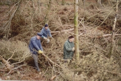 Hillfort Clearance